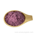 Freeze-Dried Natural Fresh Mulberry Powder